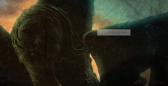 skeleton_manuelamedici2