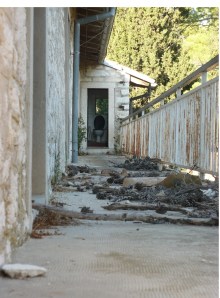 25_RIGHE_PER_UNA_FOTO_2012_blog