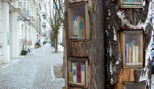 bookforest_1 (1)