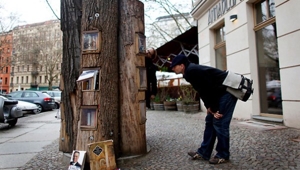 bookforest_1 (2)