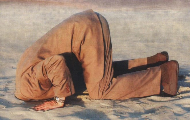 head-in-sand