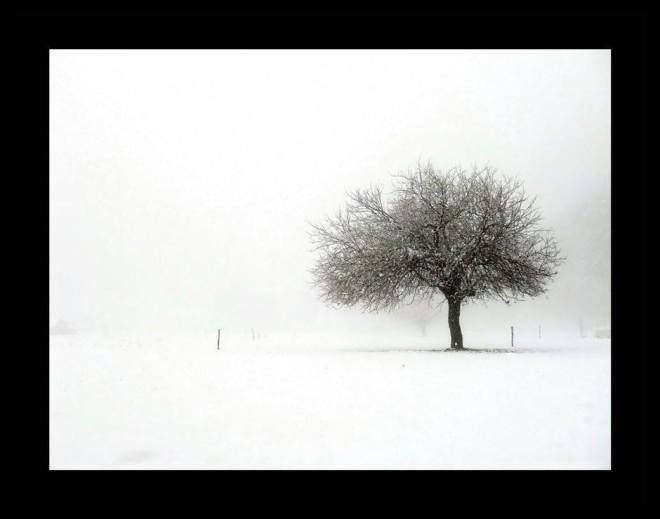 10868111_663262473795301_1058747476183485206_n