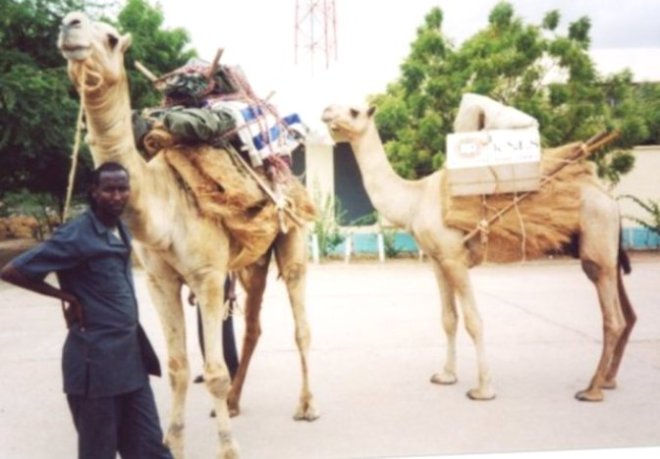 phoca_thumb_l_knls camel library  0