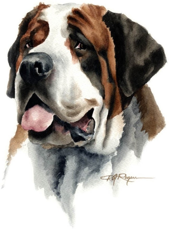 il_fullxfull.82355403