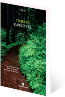 3Dnn+8_11B_pic_9788804585602-camminare_original