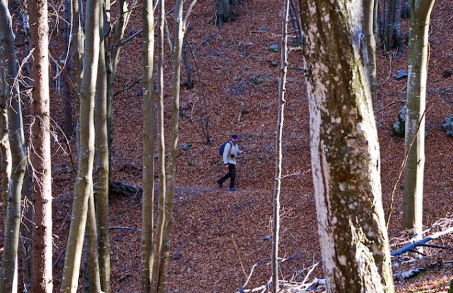 (Foto © Claudio Carminati)