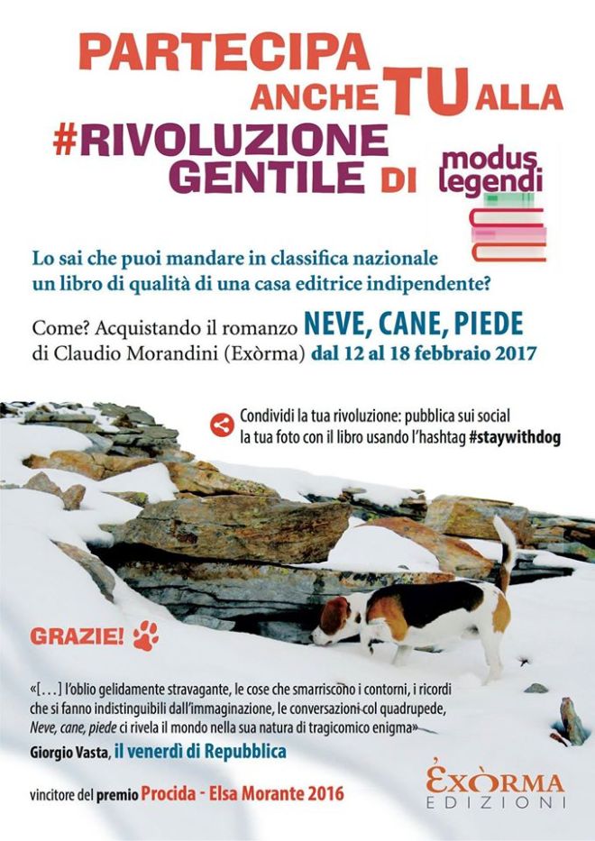 16486831_1684858288481267_3356027849790060955_o