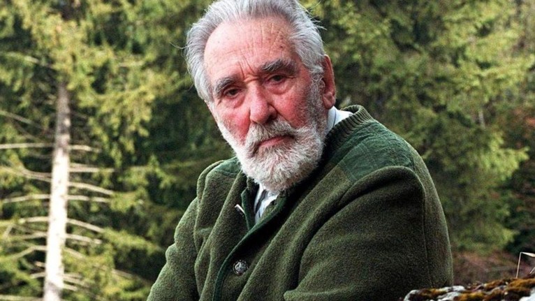 Mario Riboni I boschi come patrimonio civico