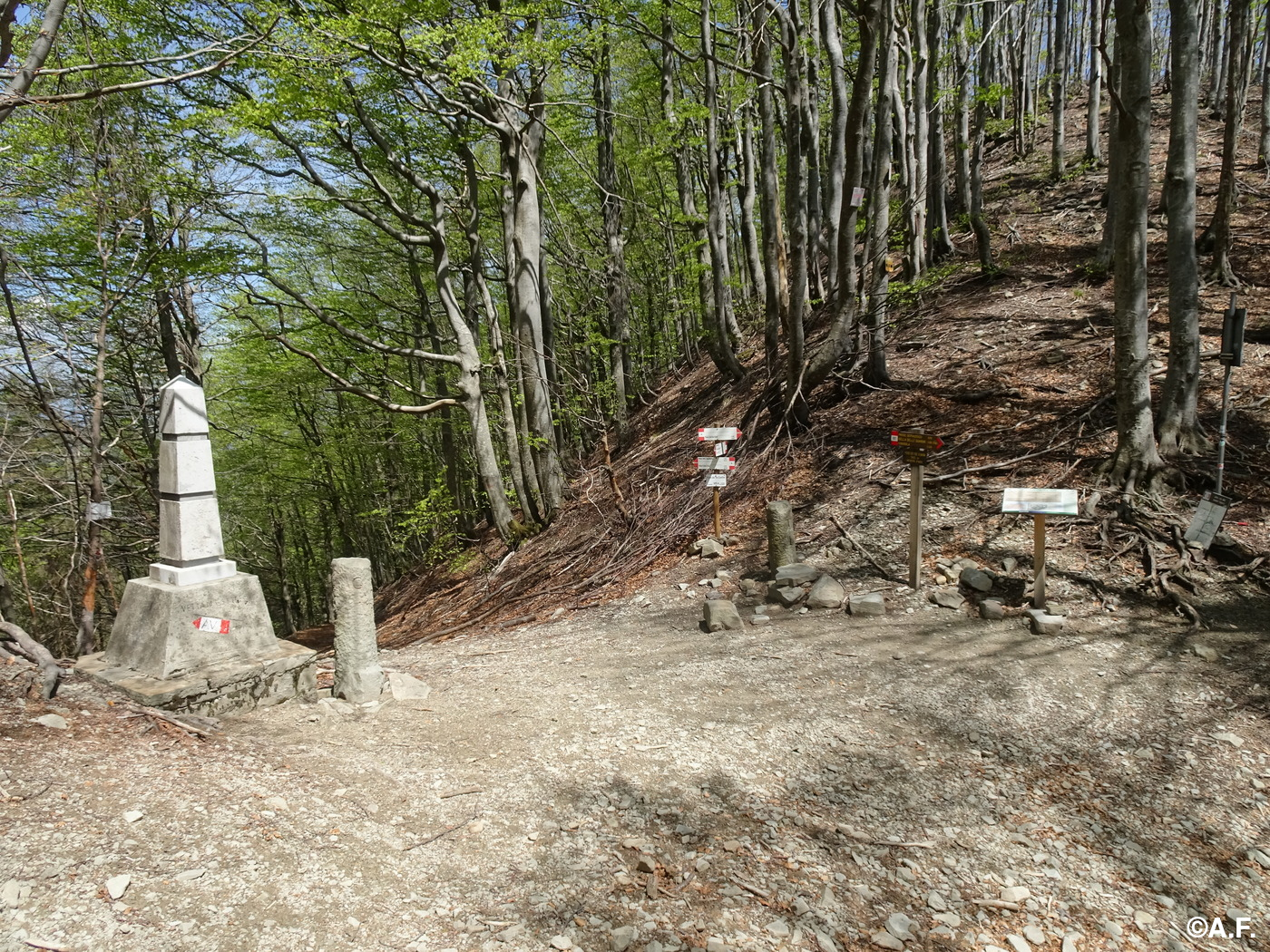 Montagne fatte “in tre”